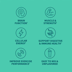 Sport Creatine Plus Probiotics Powder